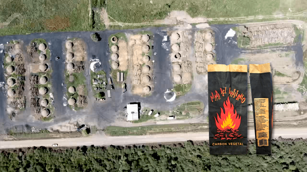 Hornos de carbonización con monitoreo de temperatura.